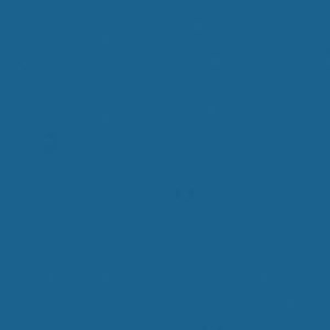 Meet your Posher, Lynette